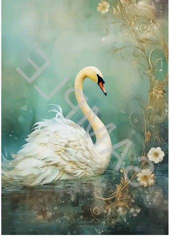 Dreamscape Swan Right Facing