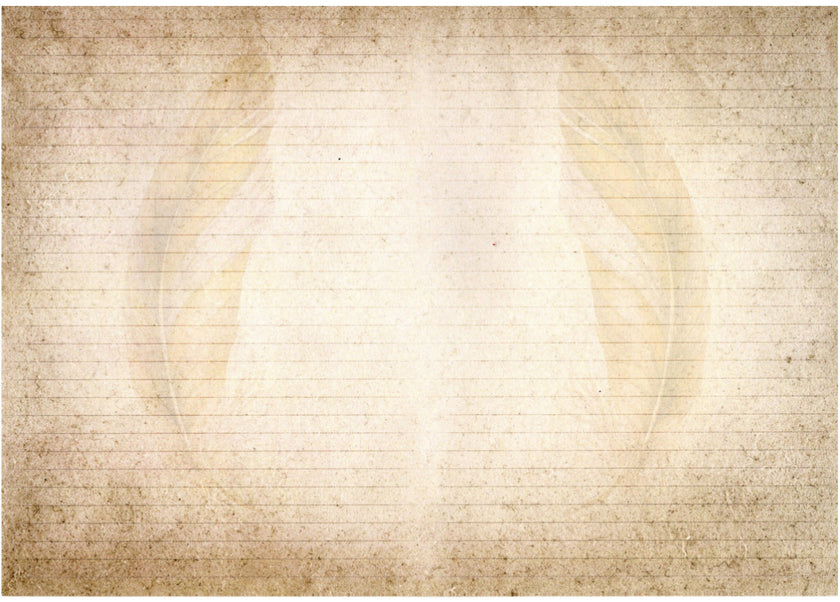 Vintage Birds Junk Journal Kit