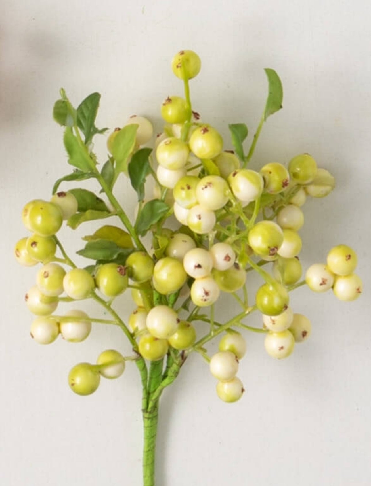 VIBRANT SPRING BERRY PICK