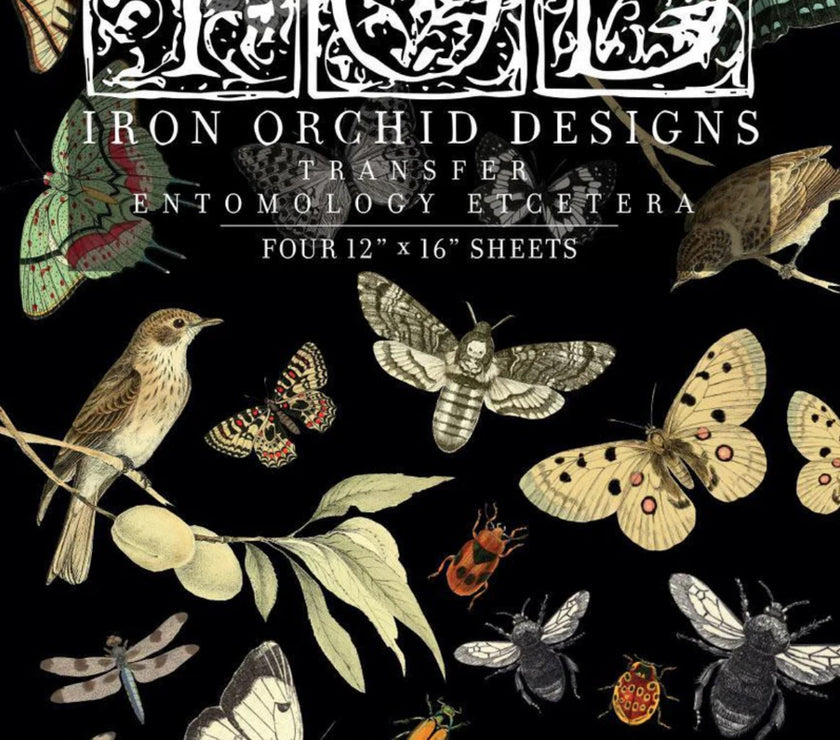 Entomology IOD Transfer