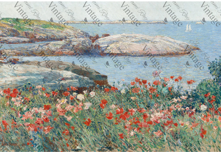 Poppies on The Beach | JRV large Rice Paper