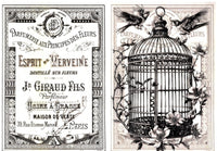 Vintage Birds Rice Paper Kit