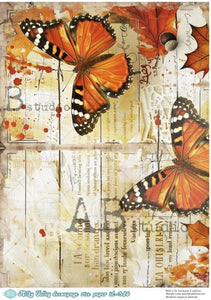 Monarch on Journal Page MV380