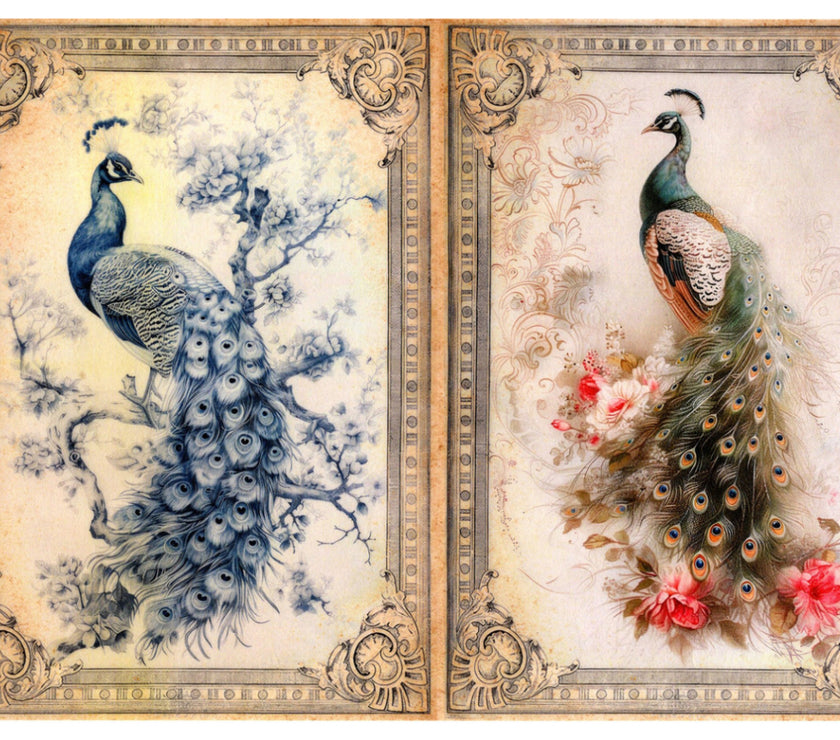 Vintage Birds Rice Paper Kit
