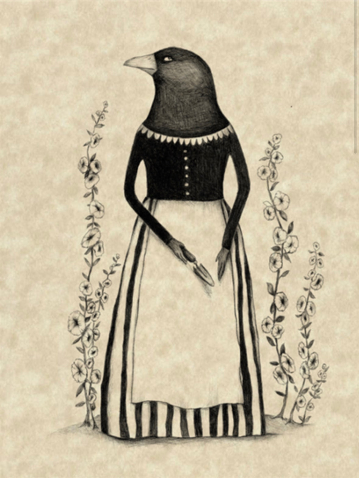 Lady Crow