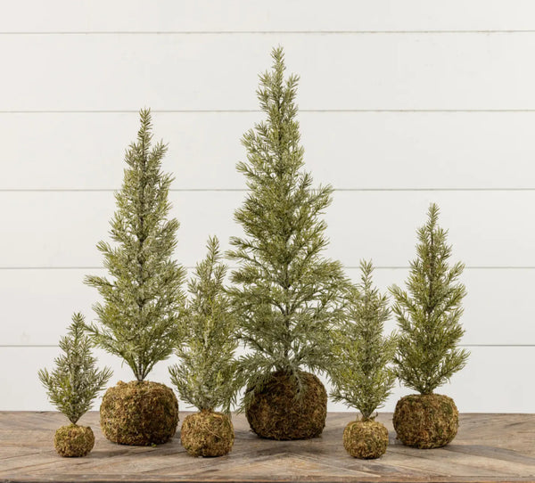 15.75" Pine Tree w/ Moss Ball Base