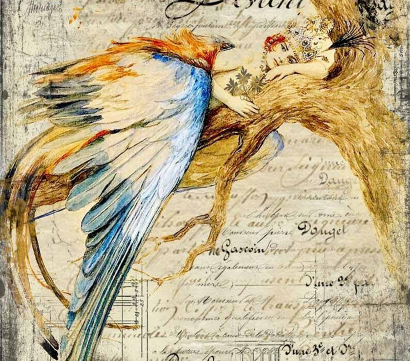 5 Year Anniversary Pack