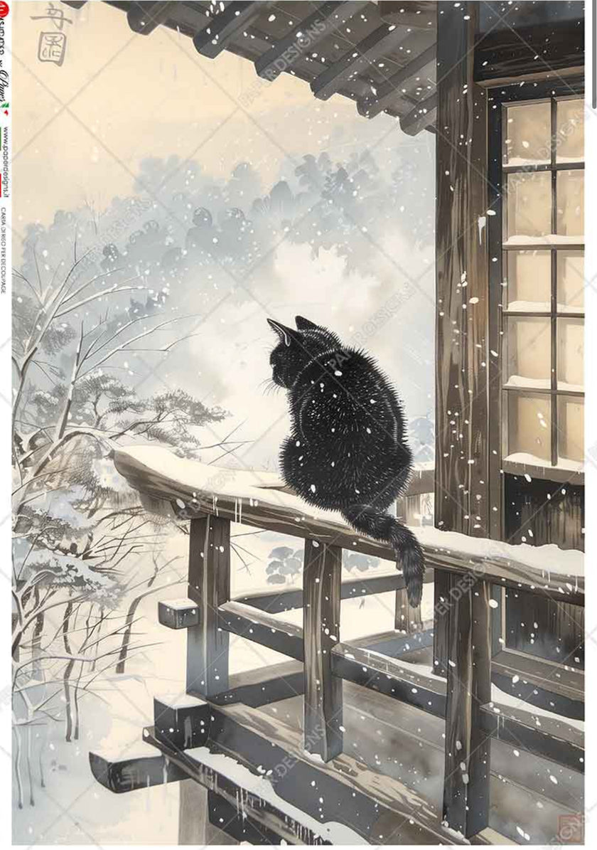 Cat on a Ledge in the Snow