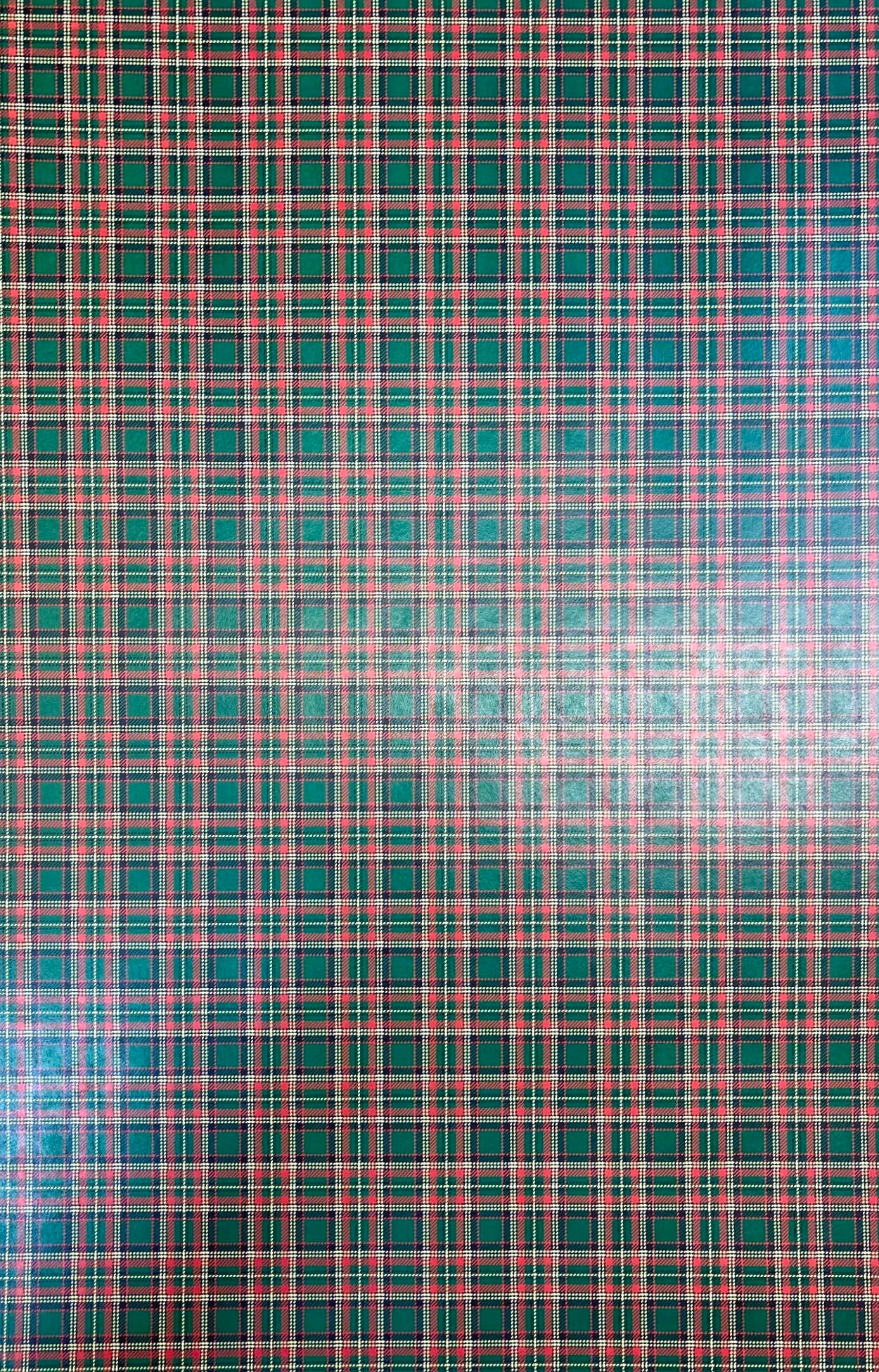 Plaid 10 , (041) P10