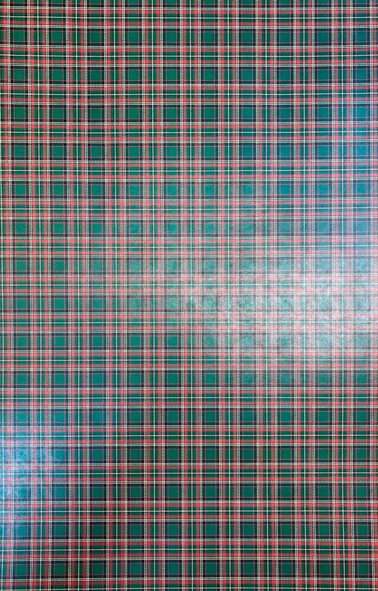 Plaid 10 , (041) P10