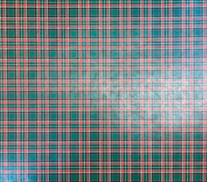 Plaid 10 , (041) P10