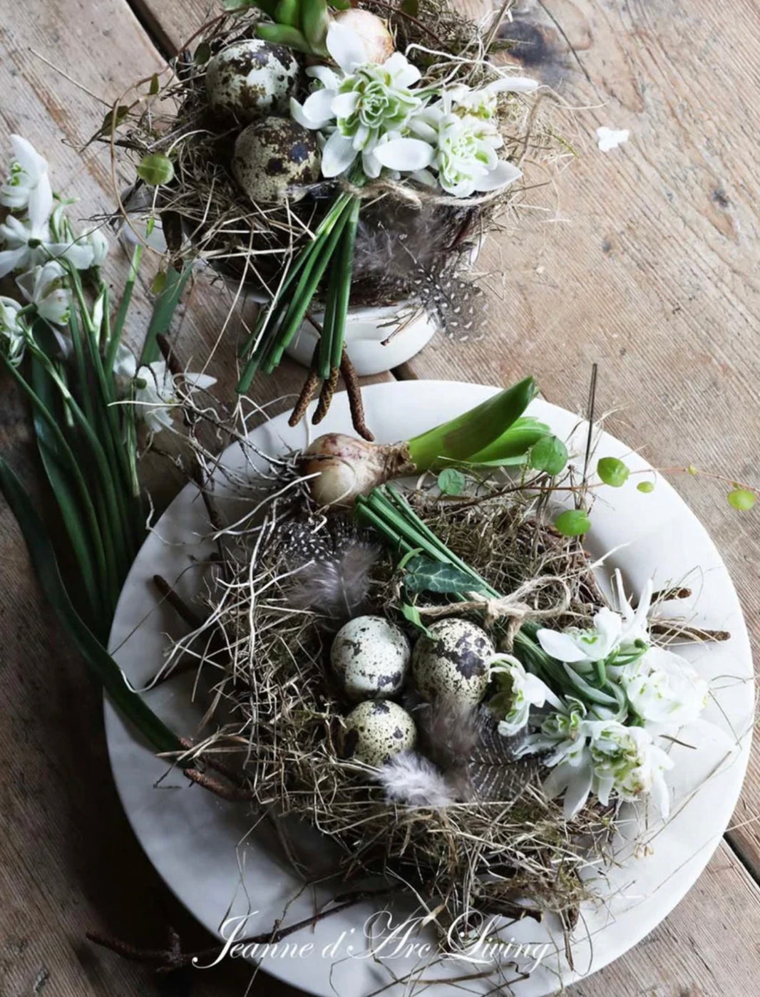 Jeanne d’ Arc Living Issue 2 2026