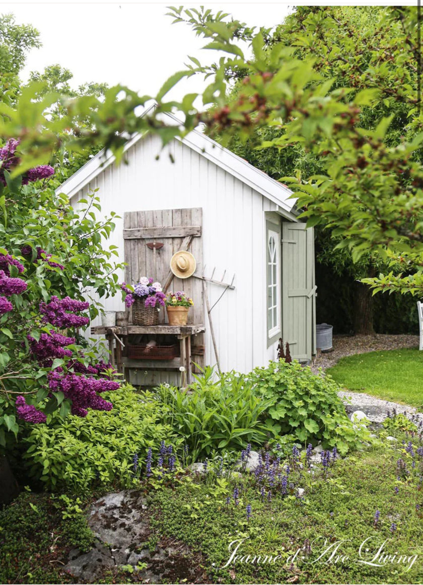 Jeanne d'Arc Living - Issue #4, 2025