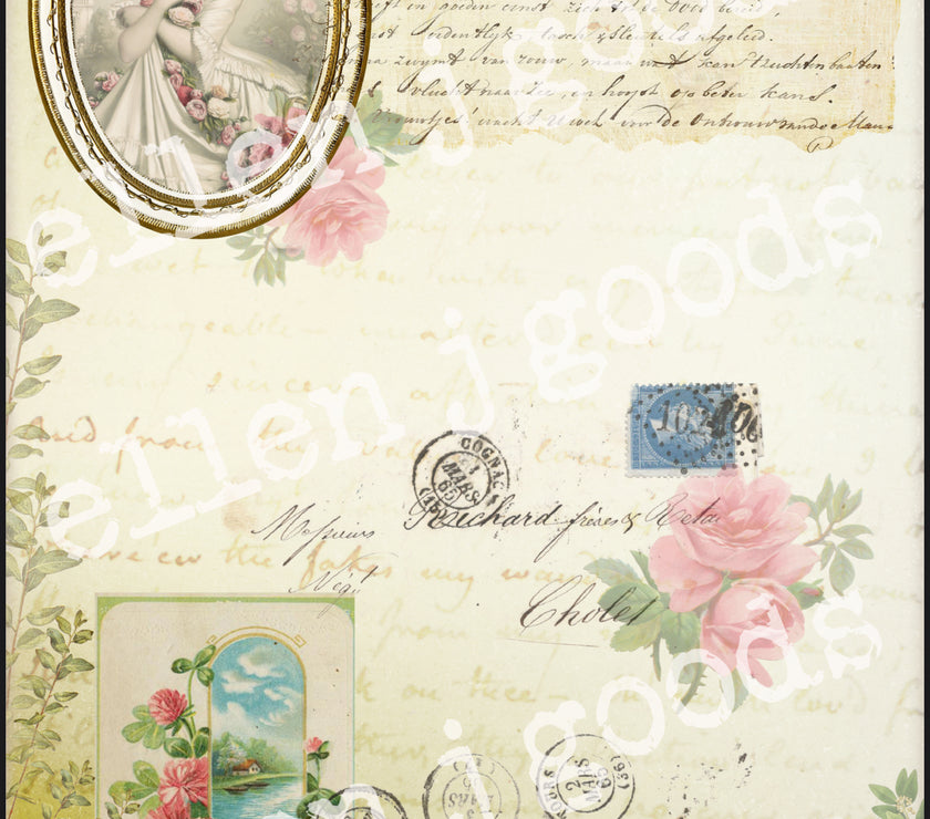 EJG Summer 2025 4 Pack