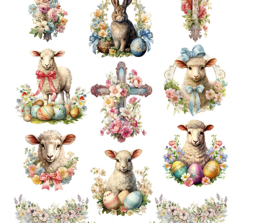 Spring Lambs and Crosses 2025TC355