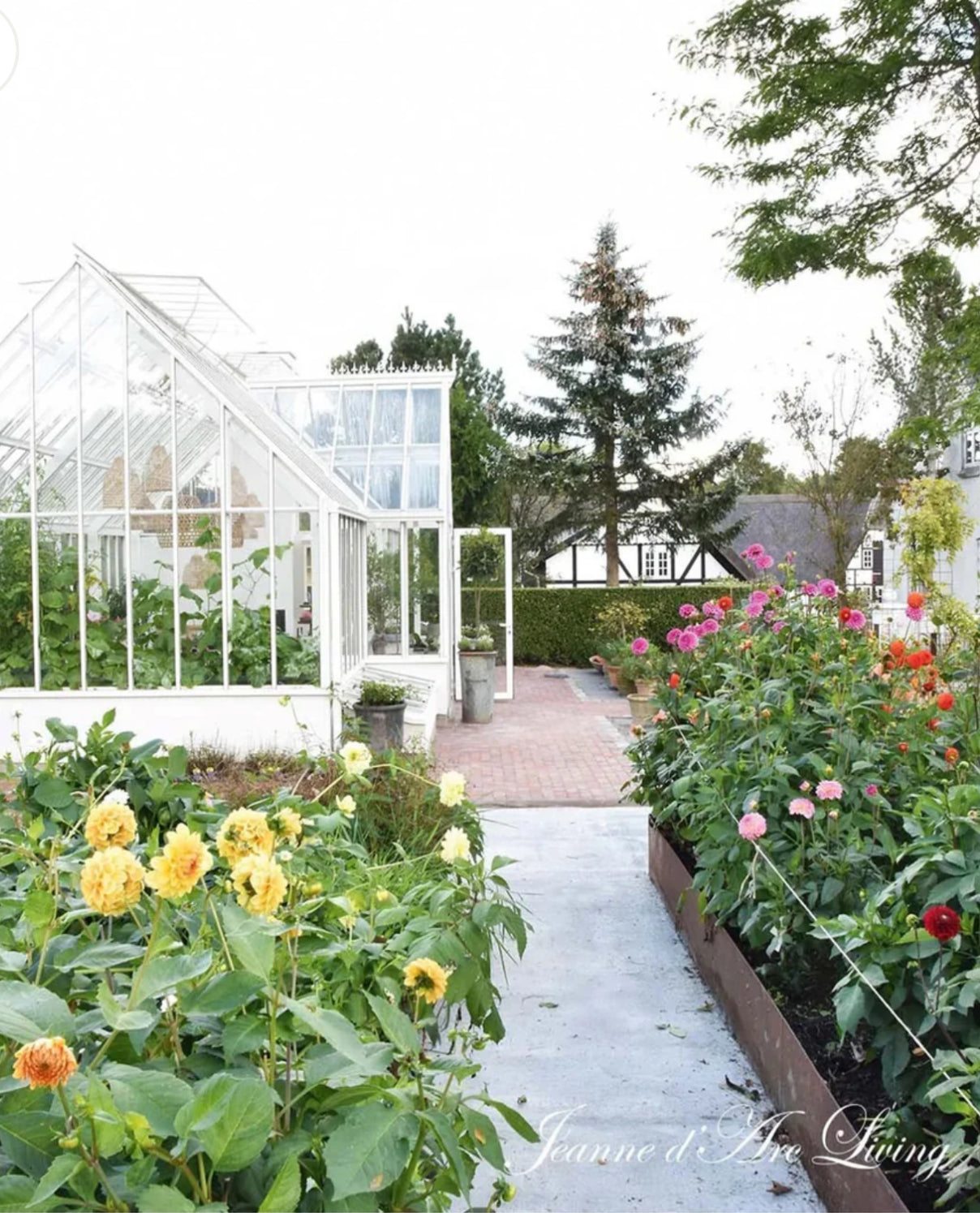 Jeanne d'Arc Living - Issue #6 2025