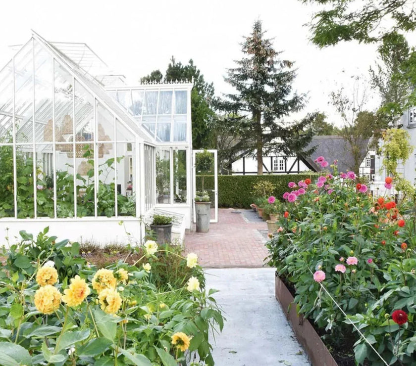 Jeanne d'Arc Living - Issue #6 2025