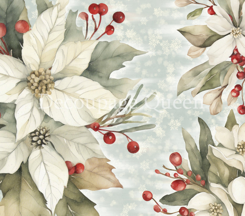 Frosty Flowers, Dainty and the Queen