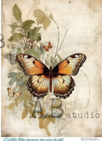 Soft Rustic Butterfly MV135