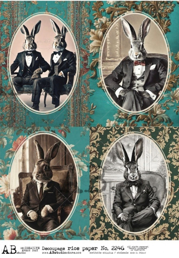 Distinguished Bunny Portraits ABRP_2246