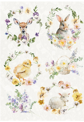 Spring Animals