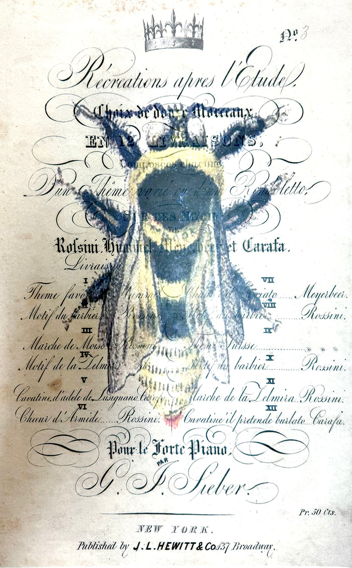 Golden Bee (016) SPS1248