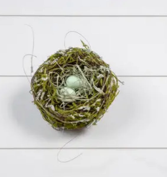 Birds nest with aqua eggs