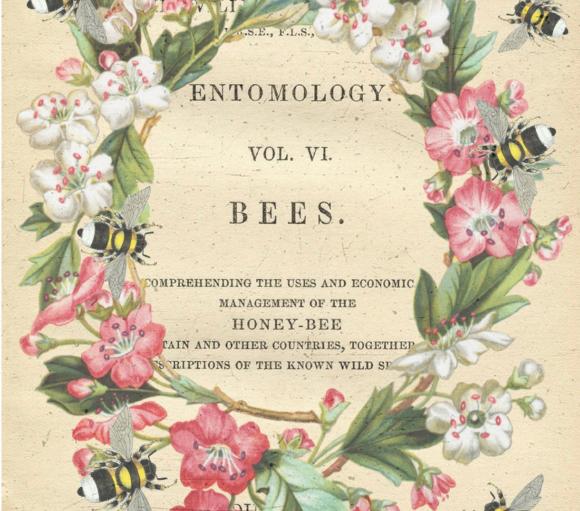 Naturalist Bee EJG-003, rice paper design by ellen j goods, arts & entertainment > hobbies & creative arts > arts & crafts, for decoupage and crafting