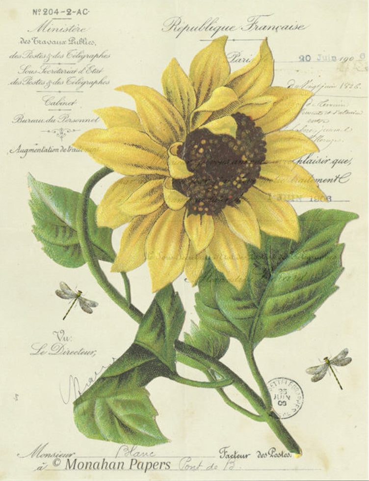 Botanical 54, (027) BOT54