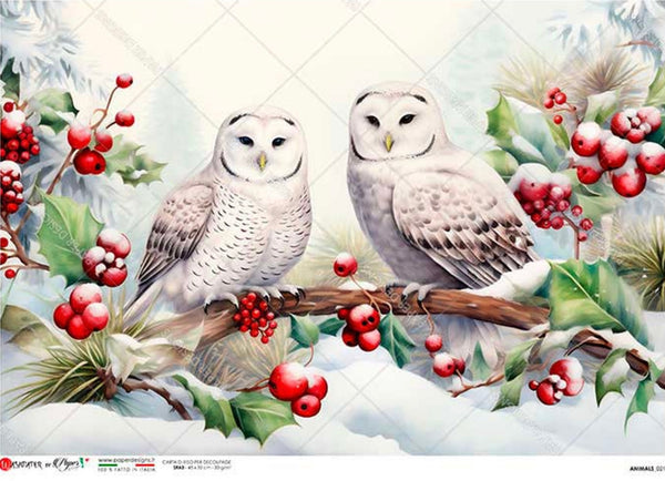 Two Festive Owls 0216