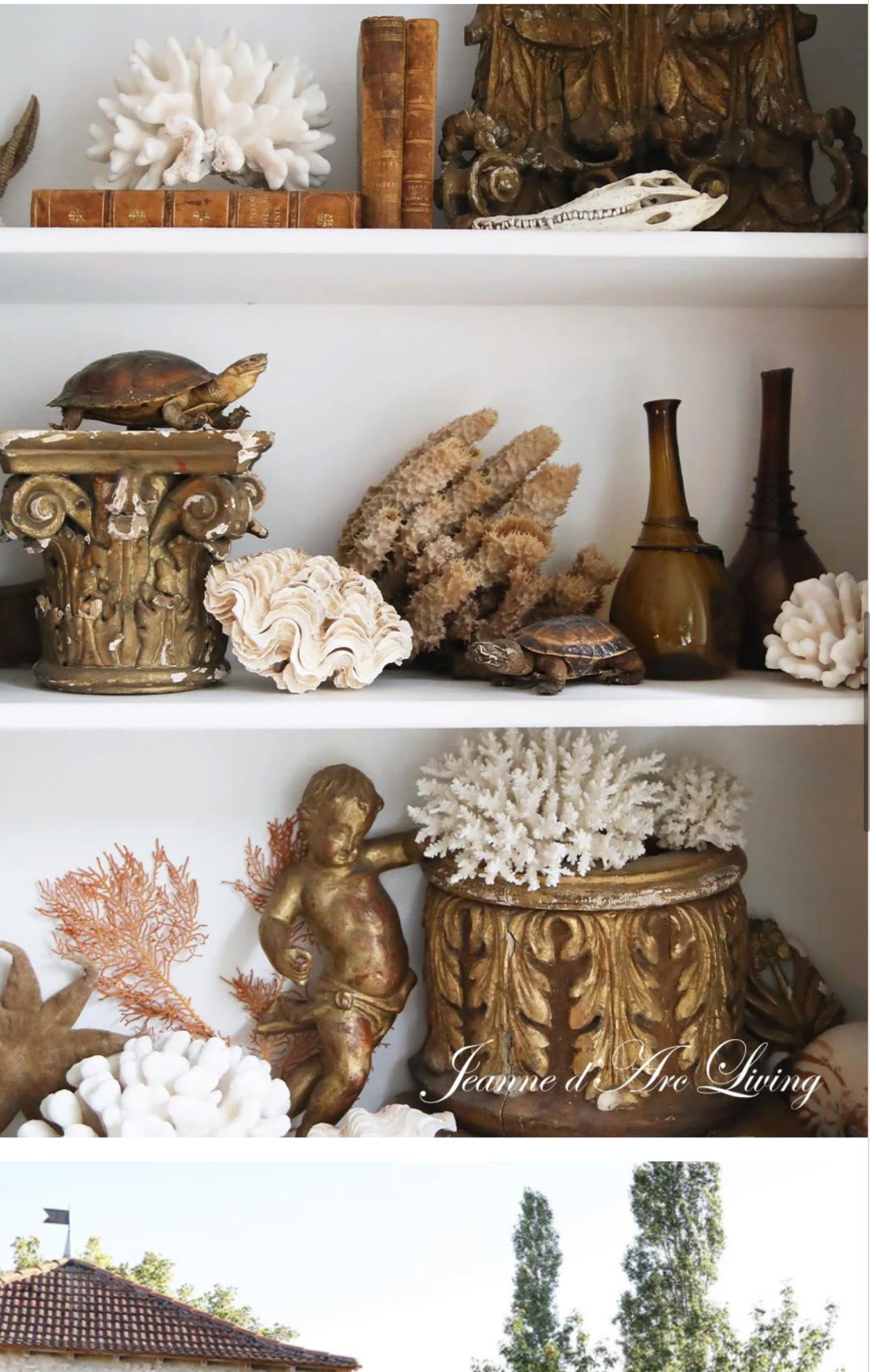 Jeanne d'Arc Living - Issue #3, 2025