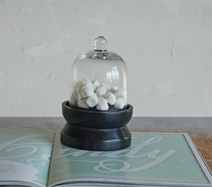 Mini Glass Cloche on Wooden Base