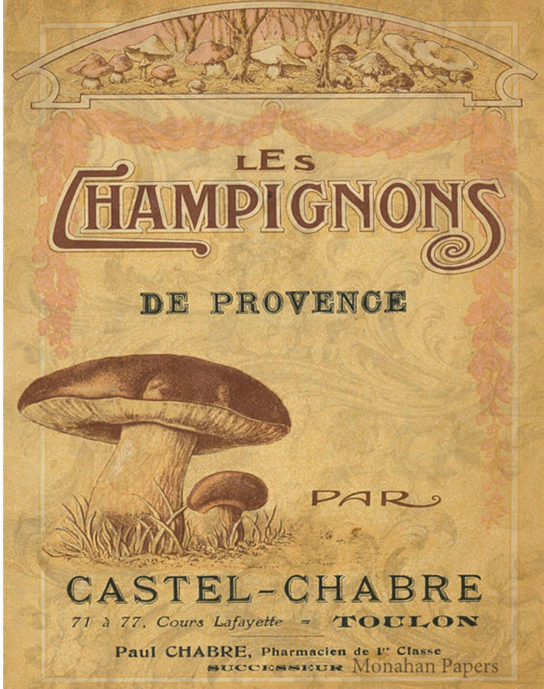 CHAMPIGNONS (023) X375