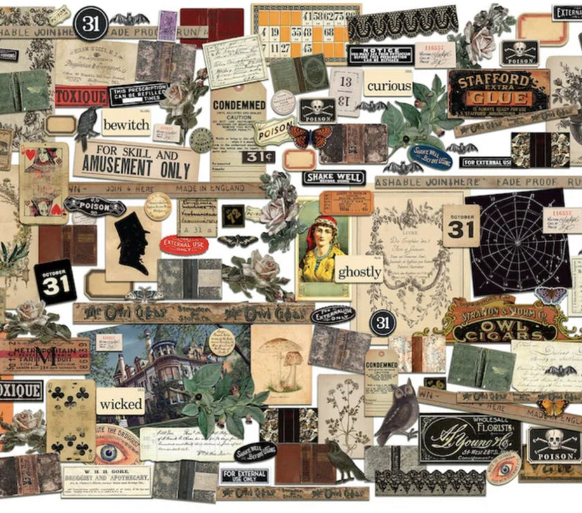 Tim Holtz Ideaology Ephemera Pack  2025