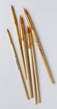 Premium Watercolor Sets and Brushes