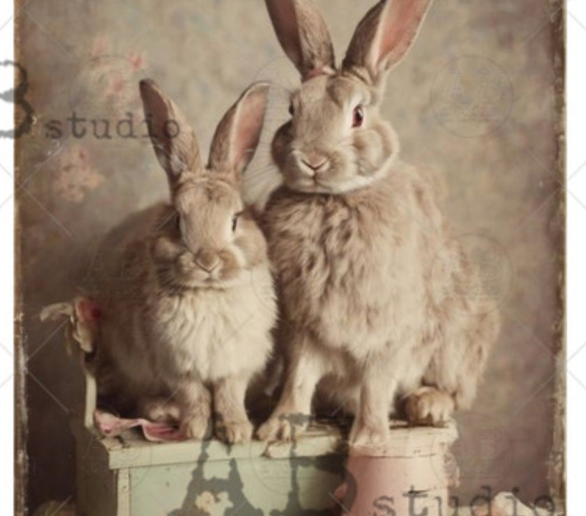 Bunny Family Vintage Style ABRP_4782