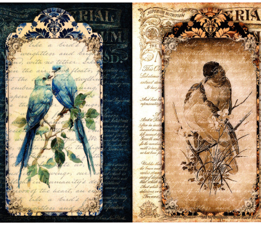 Vintage Birds Rice Paper Kit