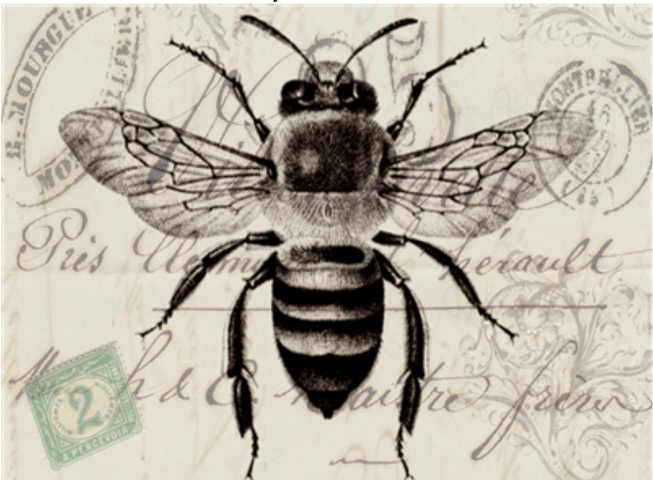 The Bee X531