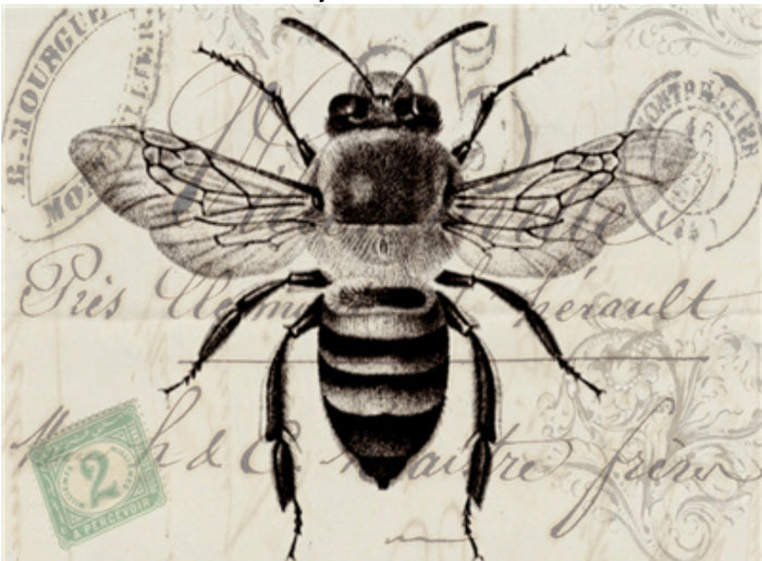 The Bee X531