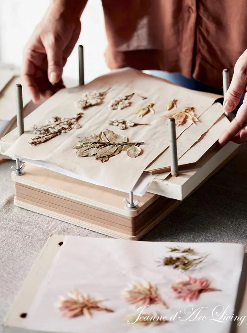 Jeanne d'Arc Living - Issue #7, 2025