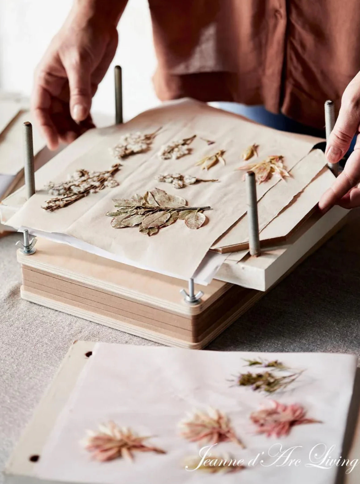 Jeanne d'Arc Living - Issue #7, 2025