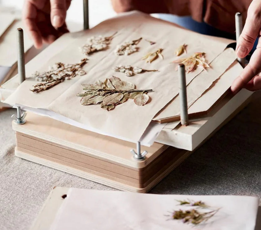 Jeanne d'Arc Living - Issue #7, 2025