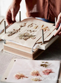 Jeanne d'Arc Living - Issue #7, 2025