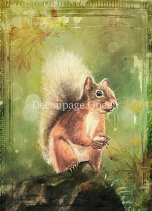 Decoupage Queen Teresa Rene Art Woodland Squirrel Rice Paper