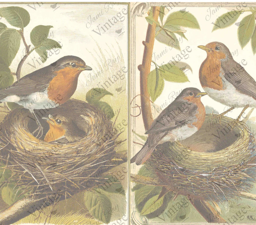 Nesting Robins JRV Rice Paper A4