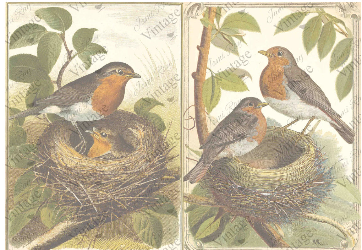 Nesting Robins JRV Rice Paper A4 – ellen j goods