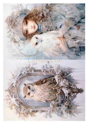 Frosty Winter Owl and girl 3