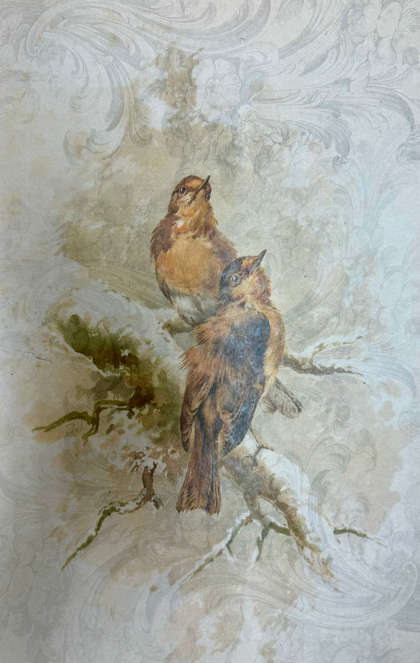 Pair of Golden Birds (015) X537