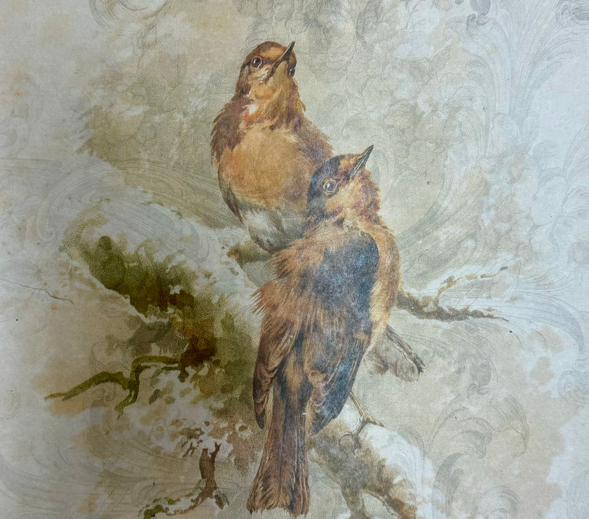 Pair of Golden Birds (015) X537