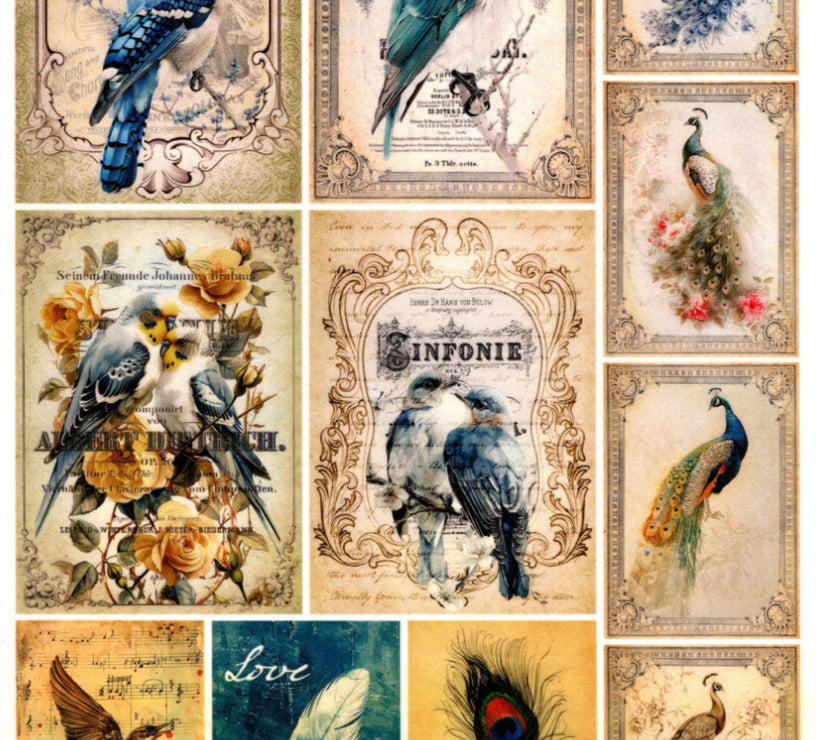 Vintage Birds Rice Paper Kit